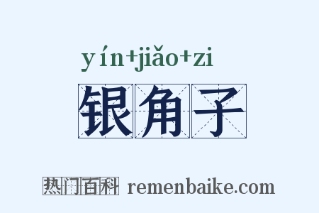 银角子是什么意思的图片
